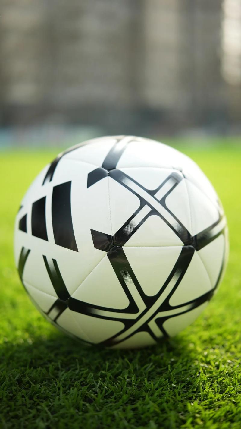 雷速体育篮球比分手机应用下载二维码